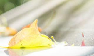 kitty猫头像 kitty猫头像